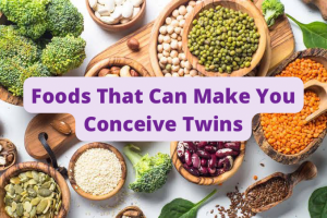 Foods That Can Make You Conceive Twins