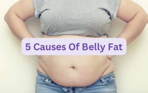 5 Causes Of Belly Fat