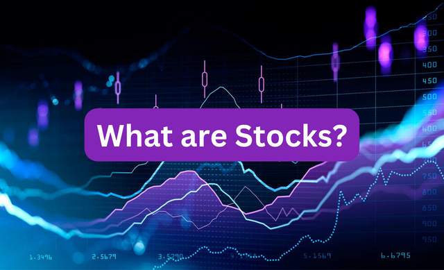 What Are Stocks?