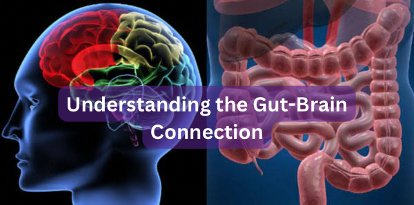 Understanding the Gut-Brain Connection
