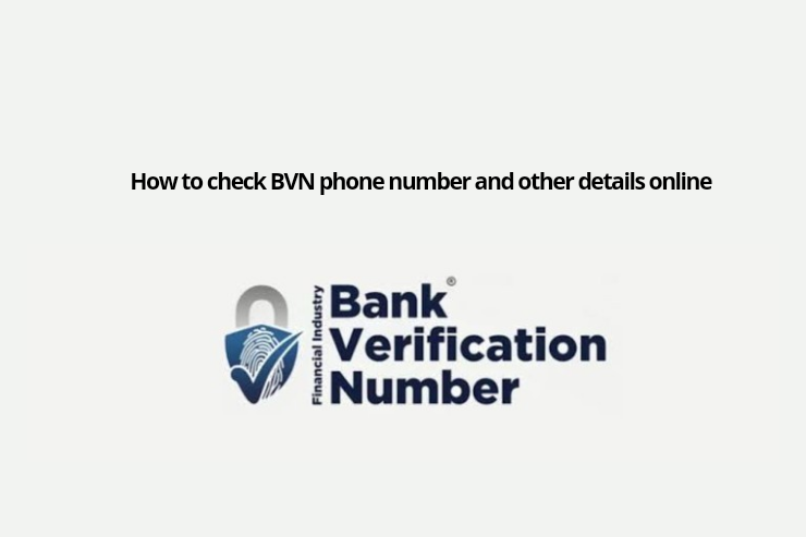 How to Check BVN