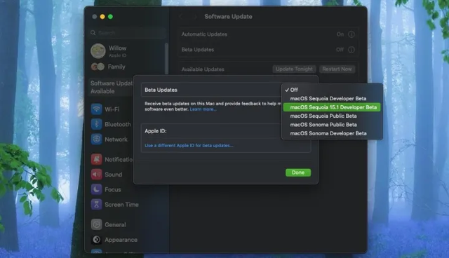 Activating Apple Intelligence in macOS Sequoia Beta