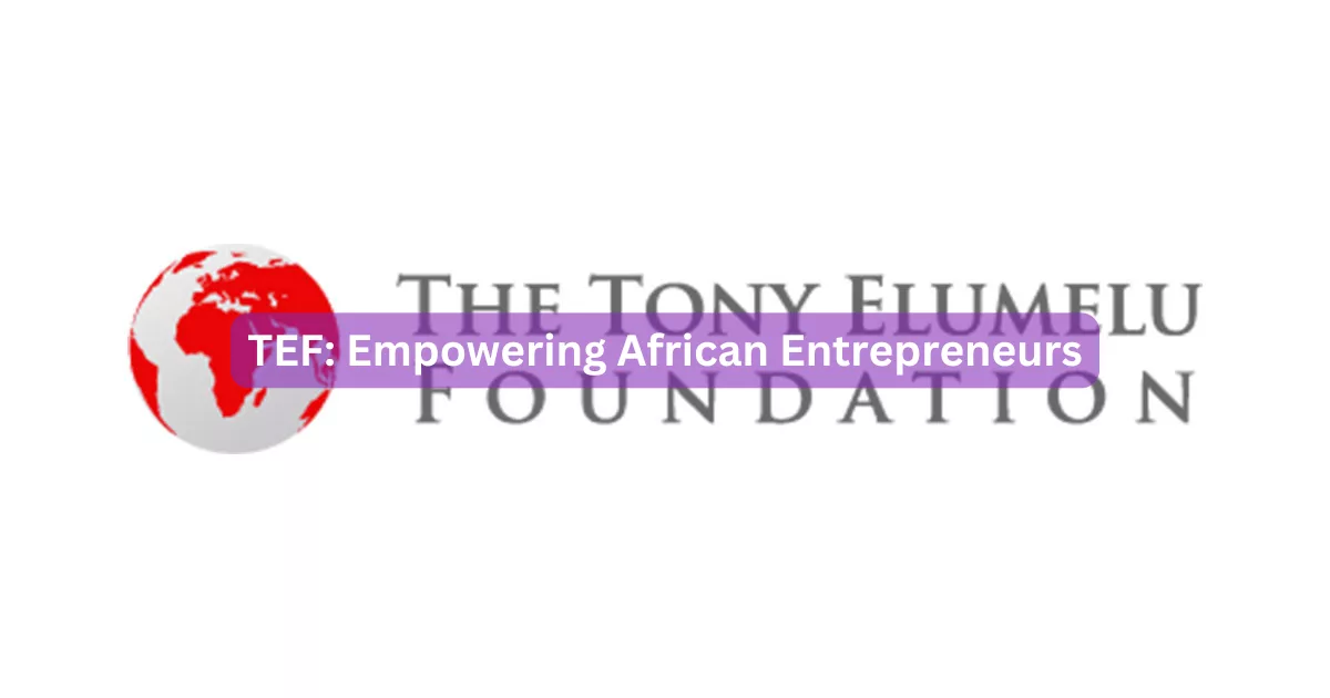 TEF: Empowering African Entrepreneurs