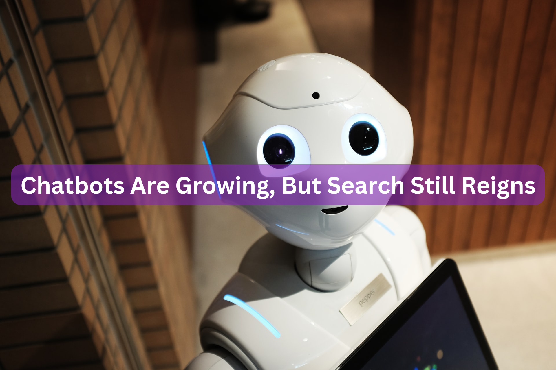 Chatbots Are Growing, But Search Still Reigns