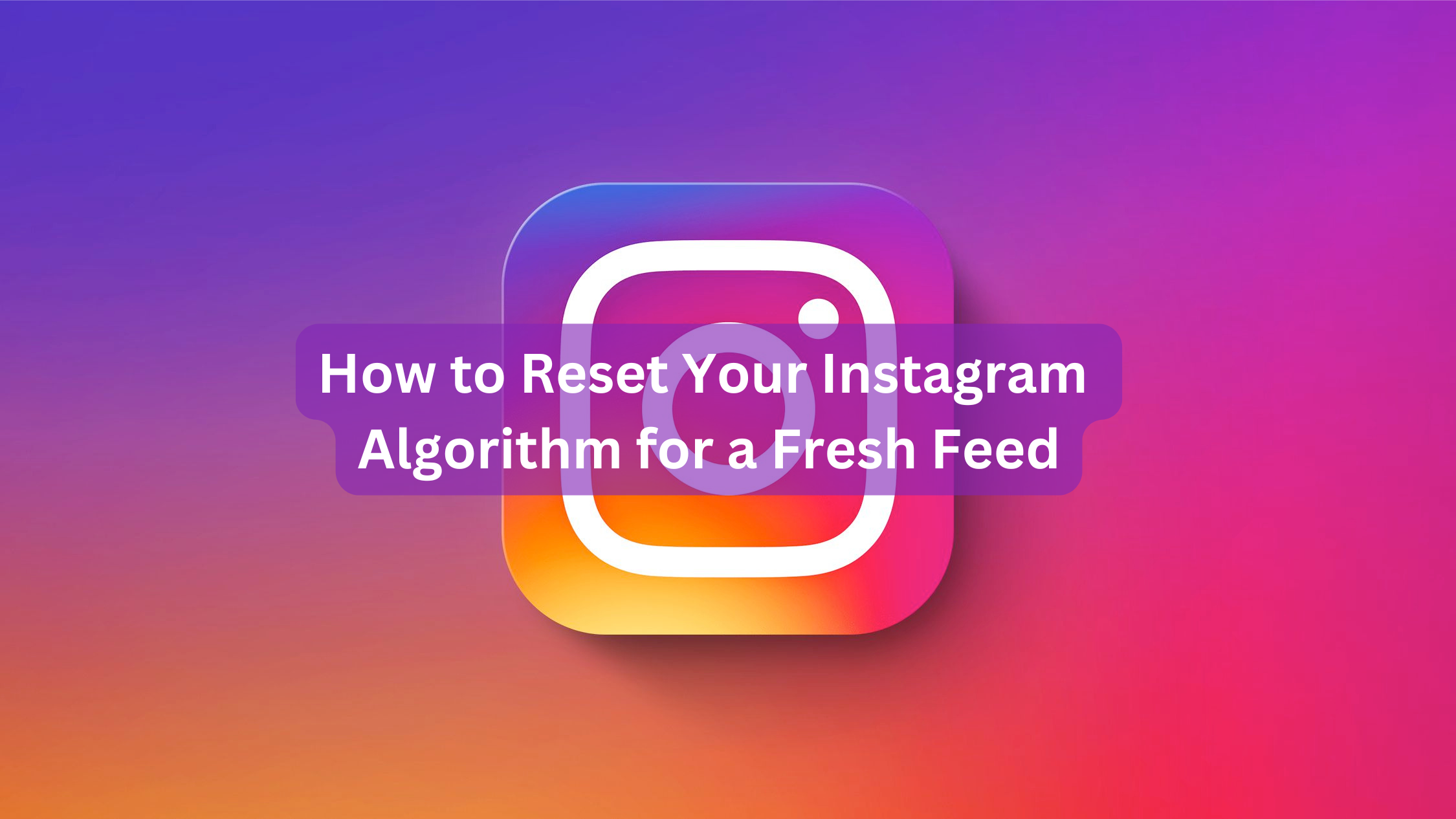 How to Reset Your Instagram Algorithm for a Fresh Feed