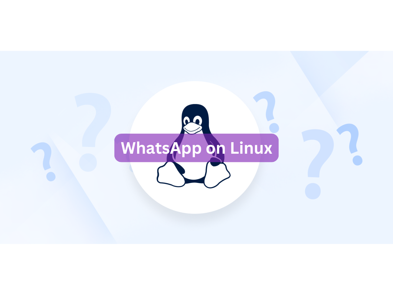 WhatsApp on Linux