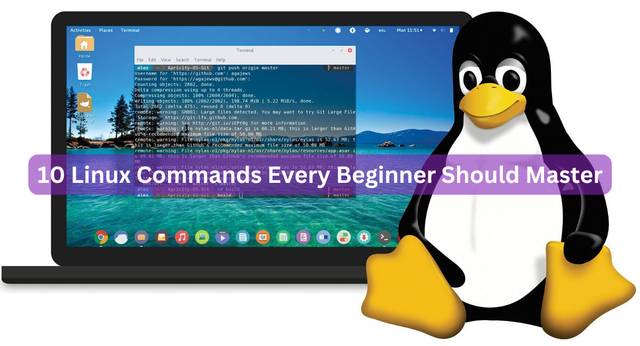10 Linux Commands Every Beginner Should Master